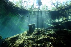 This was taken in a cavern with Natural light and my cano... by Mary Anne Rodrigues 